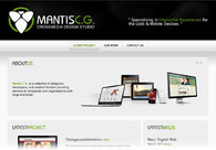 A great web design by Mantis Creative Group, Orlando, FL: 