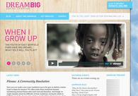 A great web design by Thorne Brandt, Chicago, IL: 