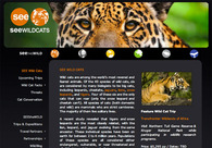 A great web design by Webkey, Seattle, WA: 