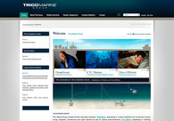 A great web design by Type&Image, Baton Rouge, LA: 