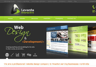 A great web design by Levanta Interactive, Houston, TX: 
