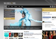 A great web design by Visionex, Munich, Germany: 