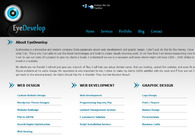 A great web design by Eyedevelop, Cleveland, OH: 