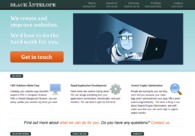 A great web design by Black Antelope, San Francisco, CA: 