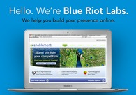 A great web design by Blue Riot Labs, New York, NY: 
