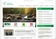 A great web design by 72dpi, New York, NY: 