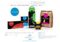 A great web design by Immotion Studios, Fort Worth, TX: 