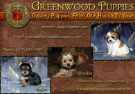 A great web design by Dakota Winds Graphics, Sioux Falls, SD: 