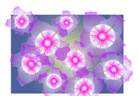 A great web design by Valentina Franchi-Freelancer, Trento, Italy: 