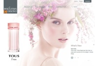 A great web design by Buckenmeyer & Co., Madrid, Spain: 