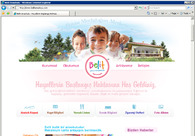 A great web design by Fahrettin Tasdelen, Istanbul, Turkey: 