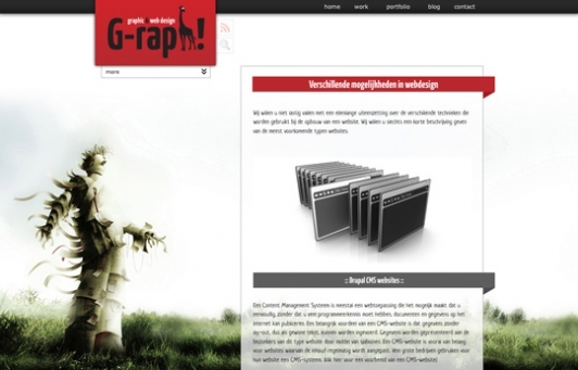 A great web design by G-raph Graphic & Web Design, New York, NY: 