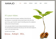 A great web design by John Cozen, San Diego, CA: 