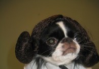 A great web design by Sound-n-Vision.com, New York, NY: 