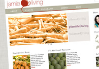 A great web design by The Bright Studio, San Francisco, CA: 