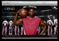 A great web design by Acidimaging Marketing and Design Group, Chicago, IL: 