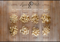 A great web design by LookatLao Studio, Seattle, WA: 