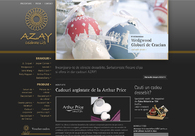 A great web design by Interactivision, Bucharest, Romania: 