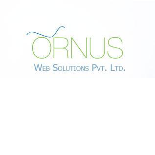A great web design by Ornus Web Solutions Pvt. Ltd, Washington DC, DC: 
