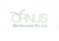 A great web design by Ornus Web Solutions Pvt. Ltd, Washington DC, DC: 