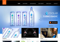 A great web design by BASIC, San Diego, CA: 