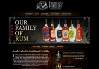 A great web design by Peacock Production Studios, Tampa, FL: 