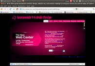 A great web design by B!TE Saramento Website Design, San Francisco, CA: 