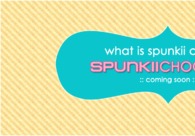 A great web design by Spunkii Chook Design, Los Angeles, CA: 