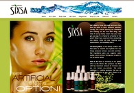 A great web design by Invizon, Chicago, IL: 