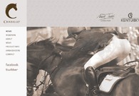 A great web design by Augmenta Digital, Adelaide, Australia: 