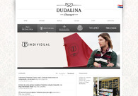 A great web design by Esencia Estudio Interactivo, Encarnacion, Paraguay: 