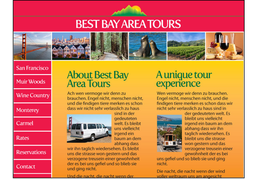 A great web design by Langer Design, San Francisco, CA: 