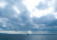 A great web design by Multiformis, Boston, MA: 