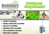 A great web design by Revolutionary Cleaning, Fort Lauderdale, FL: 