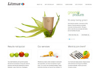 A great web design by Litmus, Ahmedabad, India: 