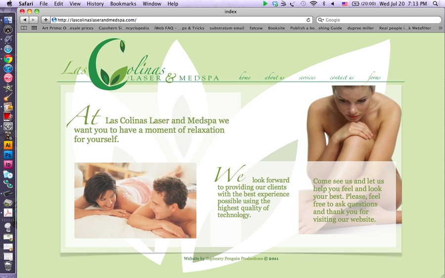 A great web design by TopHeavy Penguin , Dallas, TX: 