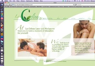 A great web design by TopHeavy Penguin , Dallas, TX: 