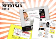 A great web design by NetNinja, Poznan, Poland: 