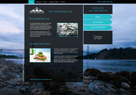 A great web design by Snaptech Marketing, Vancouver, Canada: 