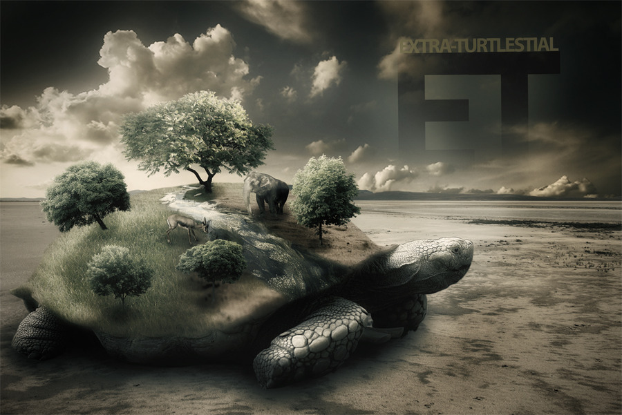 A great web design by Nisay GrafX, Safi, Morocco: 