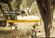 A great web design by Vaste, Montreal, Canada: 