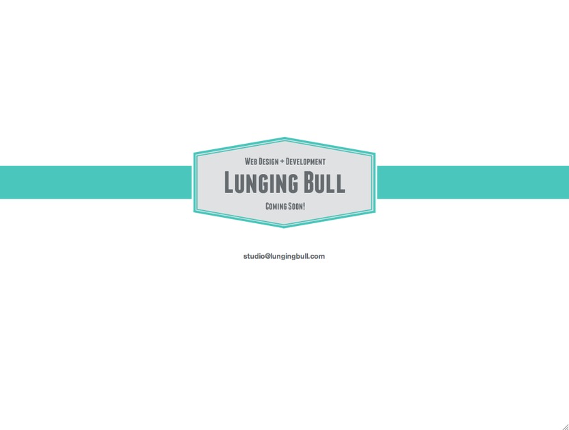 A great web design by Lunging Bull, Atlanta, GA: 