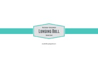 A great web design by Lunging Bull, Atlanta, GA: 