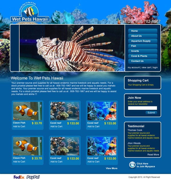 A great web design by World Web Guys, Dallas, TX: 