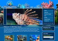 A great web design by World Web Guys, Dallas, TX: 