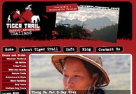 A great web design by Automik, Denver, CO: 