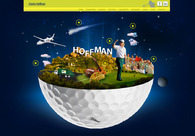 A great web design by Mind of Klein, Minneapolis, MN: 