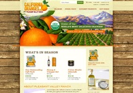 A great web design by VITAL BGS, Los Angeles, CA: 