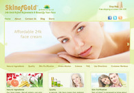 A great web design by Brian Lis, Chicago, IL: 