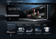 A great web design by Virtual Ruckus LLC, Washington DC, DC: 